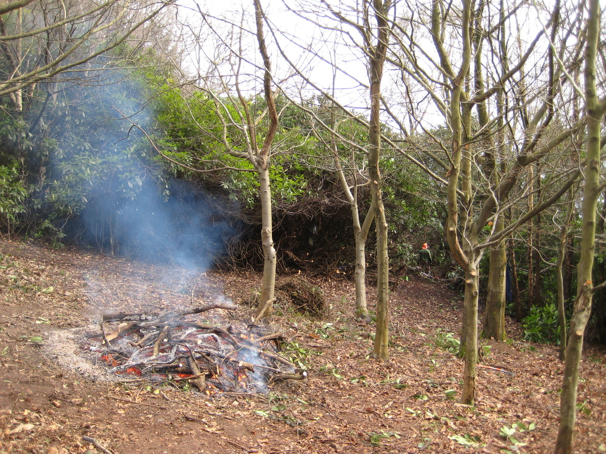 FoD opening up path D toward the golf club